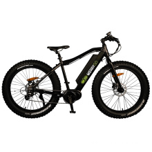 48V Cheap 1000W Fat Tire Mountain E Bike Electric Bikes